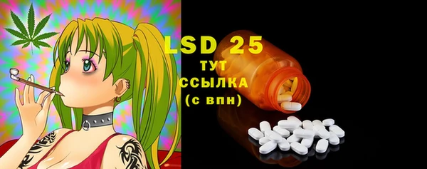 стаф Аркадак
