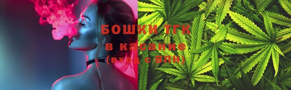 стаф Аркадак